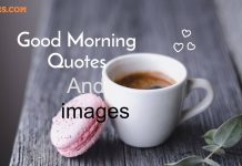 100+ Good Morning Quotes In Hindi, English Messages Wishes & HD Images 2022 Good Morning Quotes