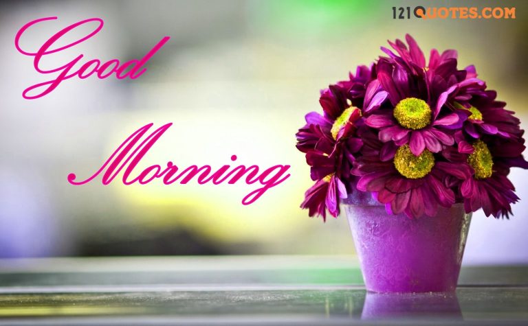 Top 100+ Good Morning Images 2022 (Best Collection) WhatsApp Dp, Photos, Pic