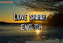 Top 100+ Love Shayari in English | Romantic love Shayari Love shayari in English