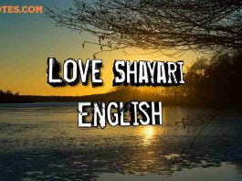 Love shayari in English