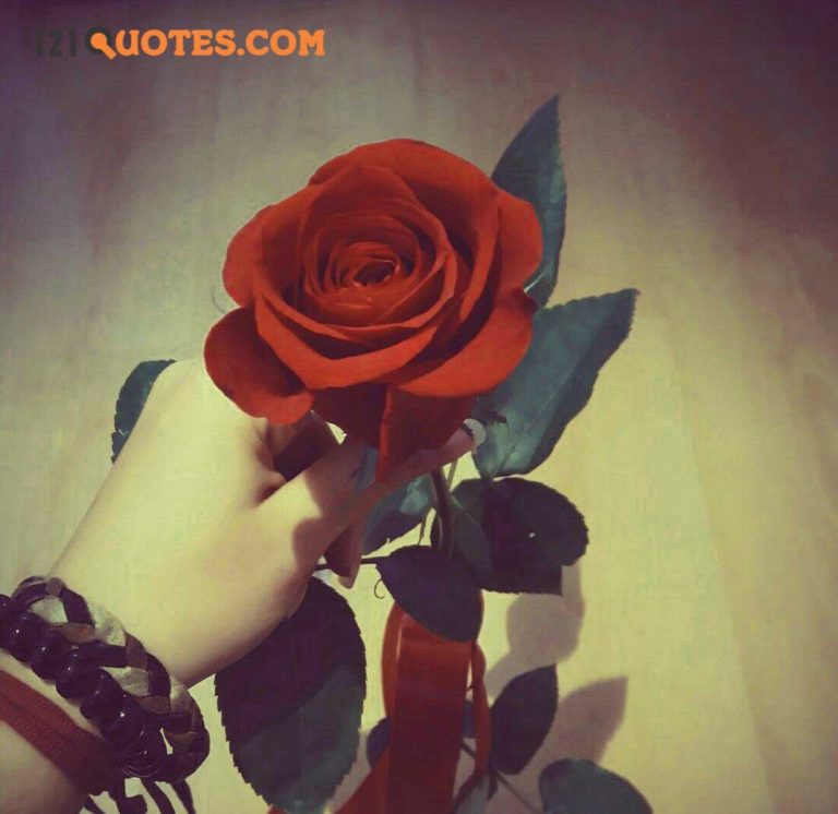 beautiful WhatsApp DP