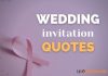 Top 100+ Wedding Invitation Quotes, Message, Cards Wedding Invitation Quotes
