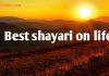 Top 100+ Shayari on Zindagi, Life Shayari, Zindegi Sad Shayari shayari on zindagi
