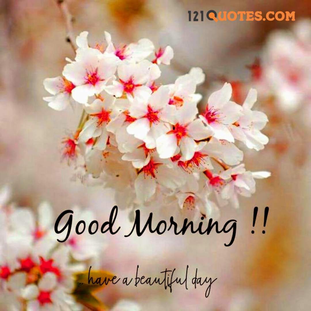 1000+ Good Morning picture & Good Morning image