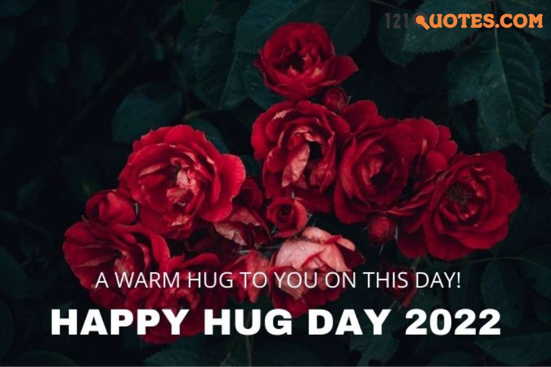 hug day quotes images